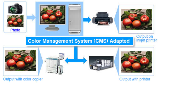 CMS Images