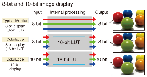 10-bit display